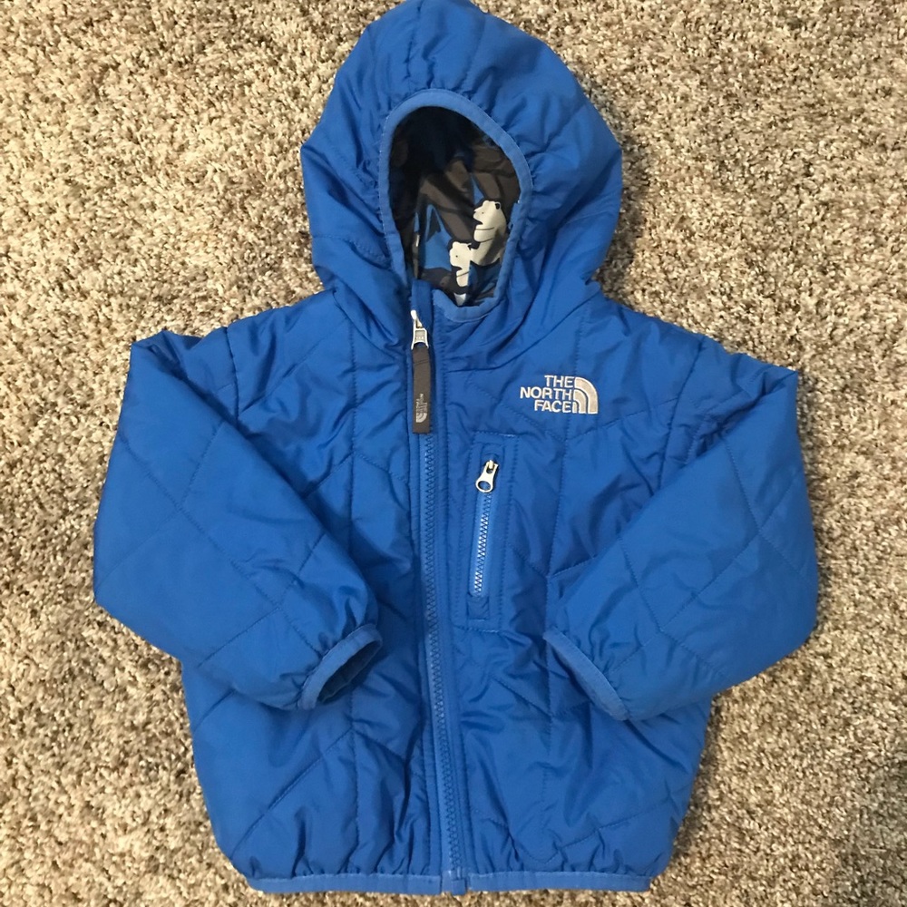 North face winter jacket/coat